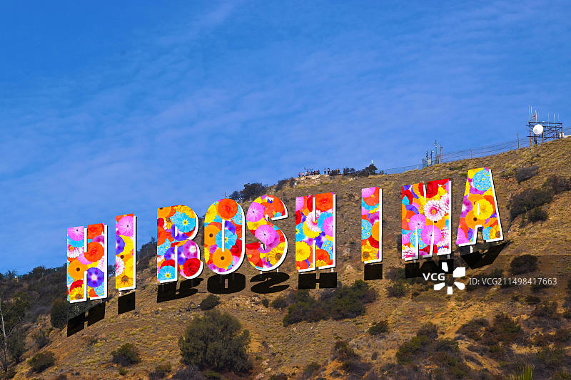 广岛花卉设计排版（好莱坞字体再设计），电脑生成，广岛位于日本本州岛广岛县图片素材