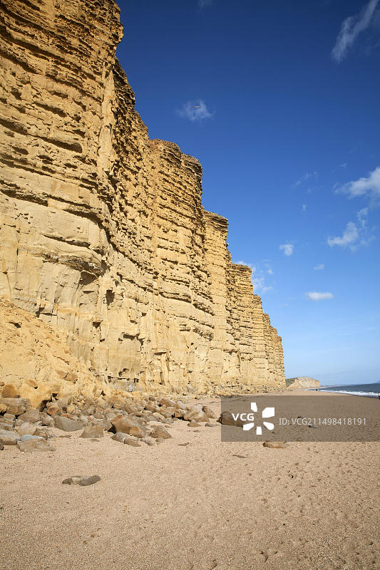 英国多塞特郡布里德波特西湾的砂岩悬崖和海滩图片素材