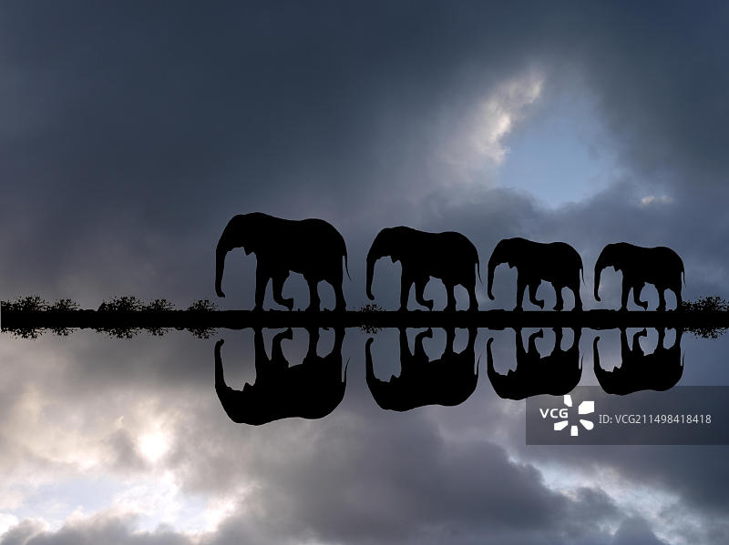 照片蒙太奇，雷雨期间倒映在水中的象群（非洲象），博茨瓦纳，奥卡万戈三角洲图片素材