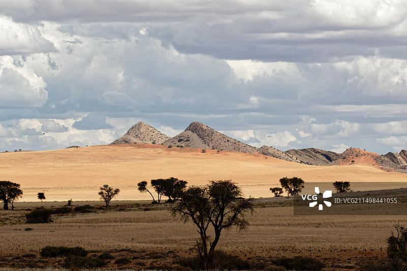 纳米比亚C13：背景是山脉，前景是沙漠的壮丽景观图片素材