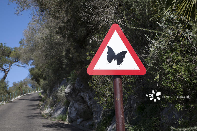 直布罗陀蝴蝶岩自然保护区道路标志（西班牙南部英国领土）图片素材