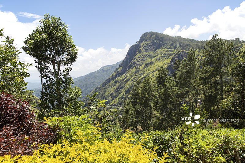 埃勒岩山，斯里兰卡乌沃省巴杜勒区埃勒镇图片素材