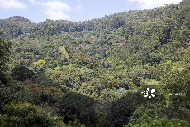 亚洲斯里兰卡高地原始雨林覆盖的山脉图片素材