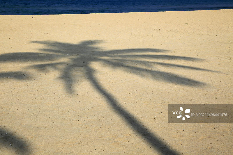 在斯里兰卡东部省份亭可马里附近的尼拉维利沙滩上棕榈树的影子图片素材