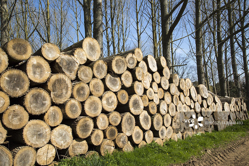 英国萨福克郡萨顿堆叠的木材图片素材