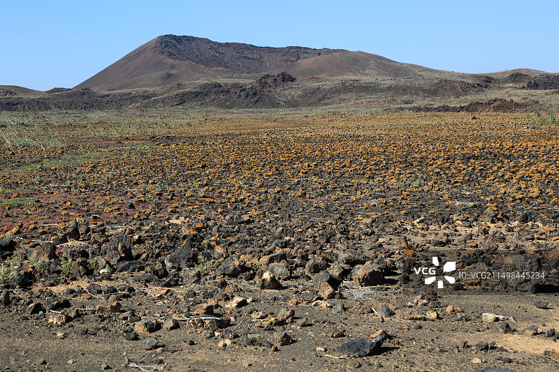 富埃特文图拉岛火山荒地景观图片素材
