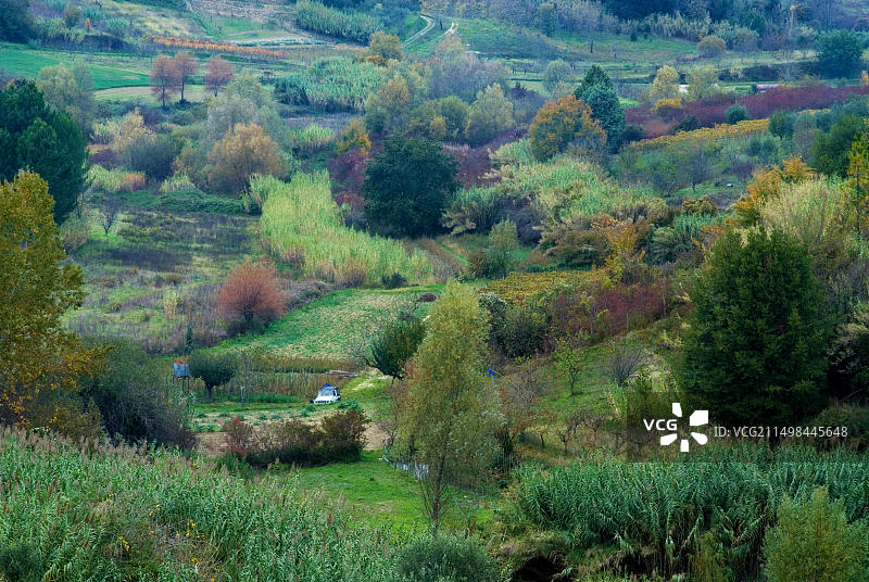 意大利配给花园的秋色文化景观图片素材