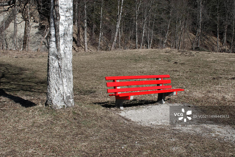 德国巴伐利亚阿尔卑斯山克莱斯附近，银桦树旁的长椅图片素材