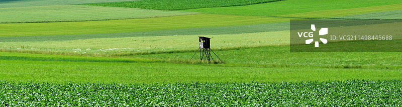 德国巴伐利亚州艾希施泰特附近绿色草地和狩猎高位全景图片素材