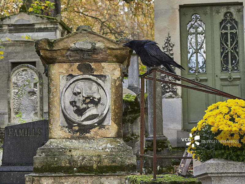 巴黎拉雪兹公墓的乌鸦与墓碑图片素材