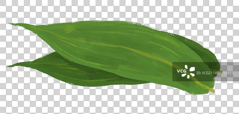 手绘端午节粽子叶图片素材