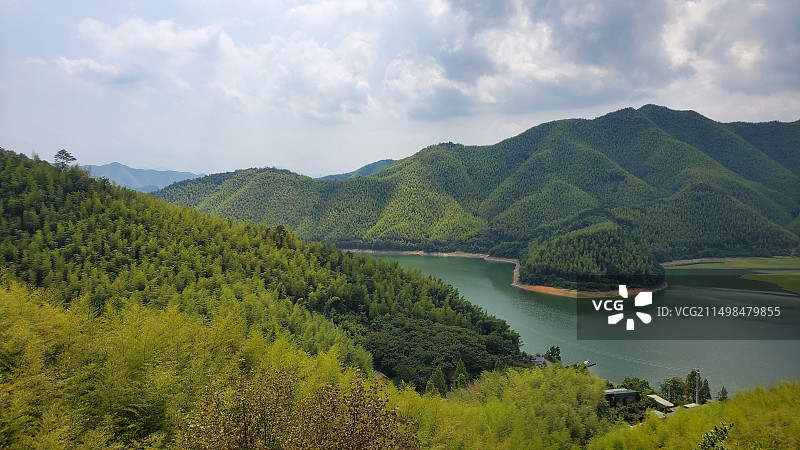 浙江安吉小杭坑的竹海和溪流图片素材