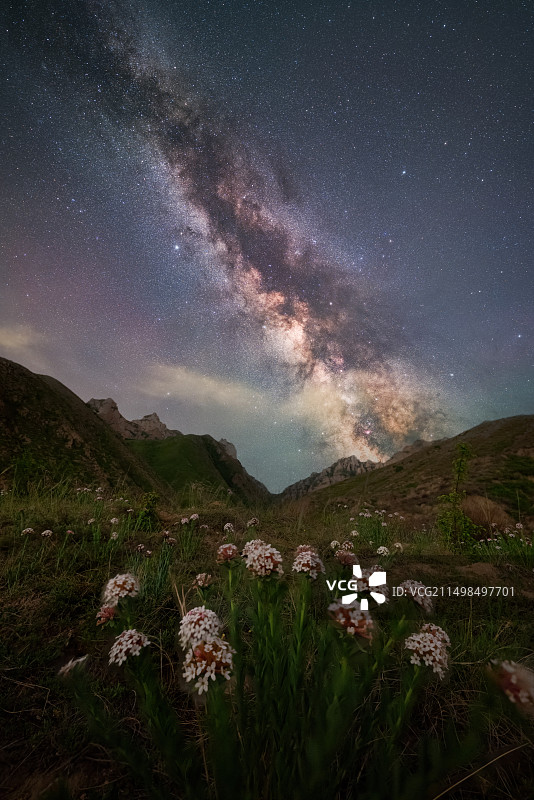 银河下的狼毒花图片素材