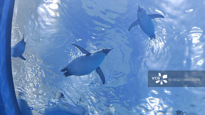 宁波海洋世界图片素材