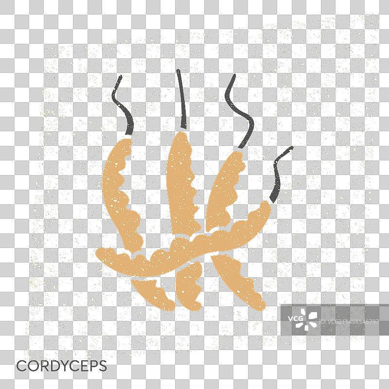 虫草蘑菇扁平图标天然药物图片素材