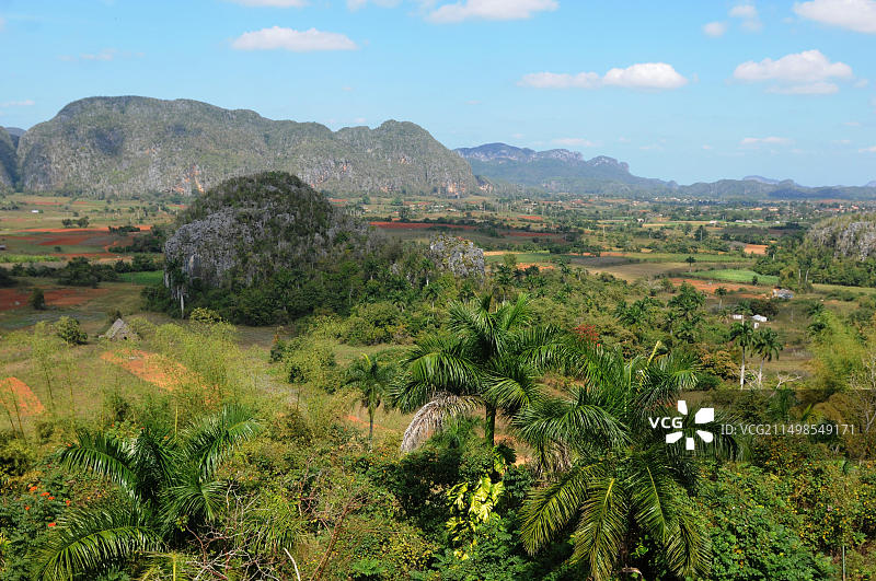 古巴黑鹰捕食螃蟹图片素材