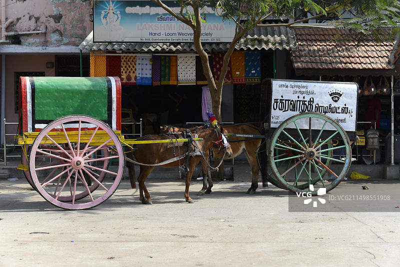 印度南部泰米尔纳德邦康契普兰的马车图片素材