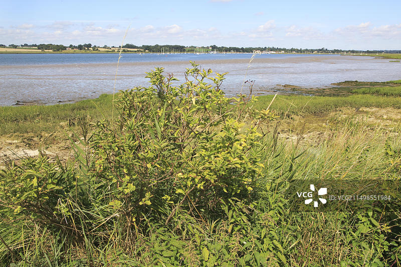从英国萨福克郡萨顿眺望沃尔德林菲尔德的德本河景观图片素材