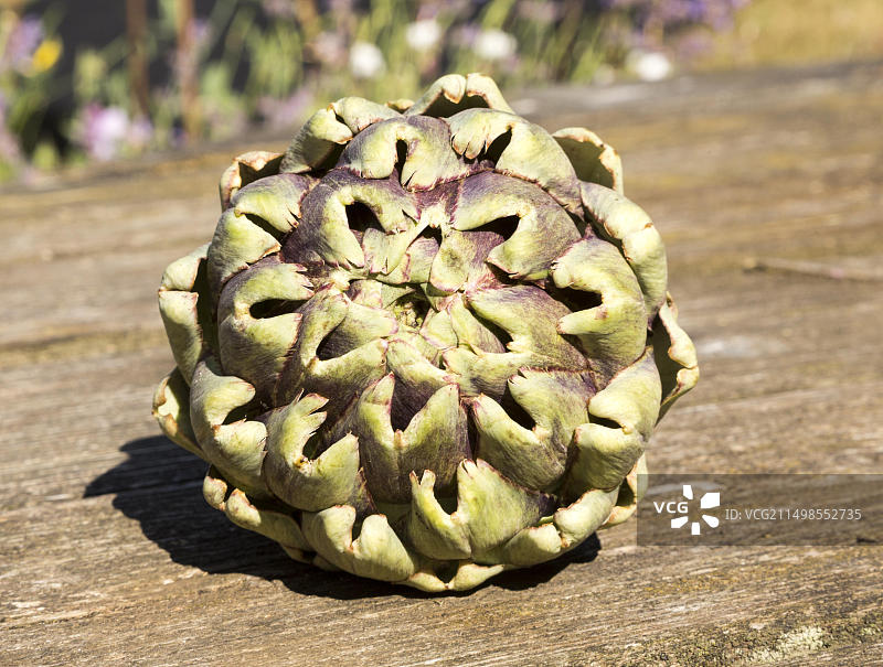 木桌上朝鲜蓟果实顶部的树叶特写图片素材