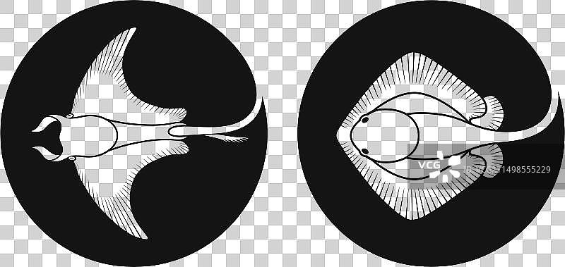 黄貂鱼图片素材