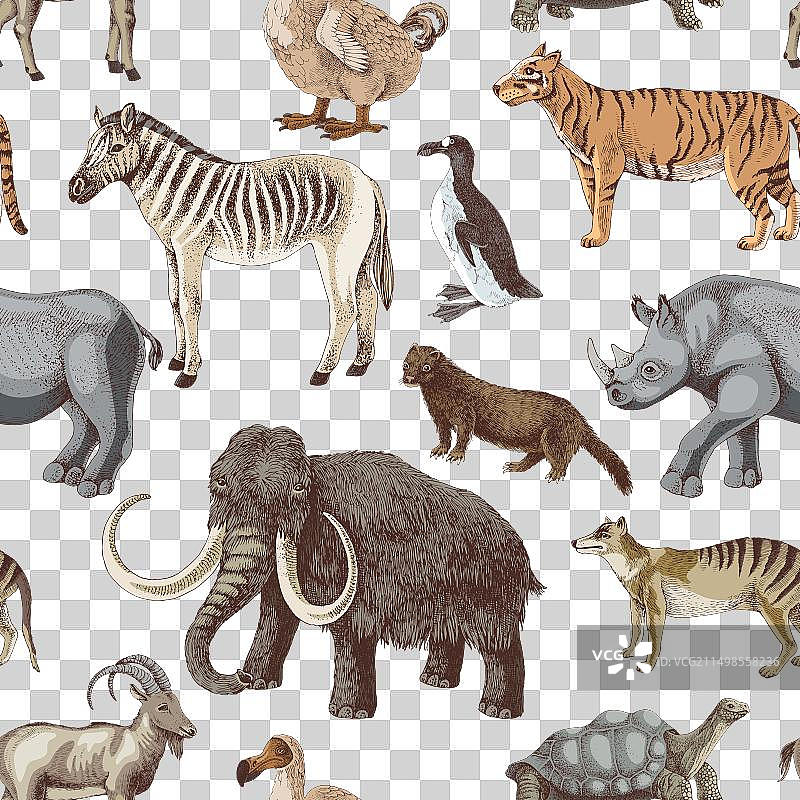 手绘已灭绝动物无缝图案图片素材