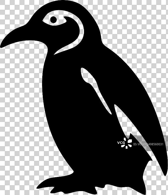 黑白企鹅隔离图标图片素材