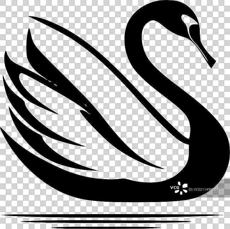 高品质天鹅T恤Logo图片素材