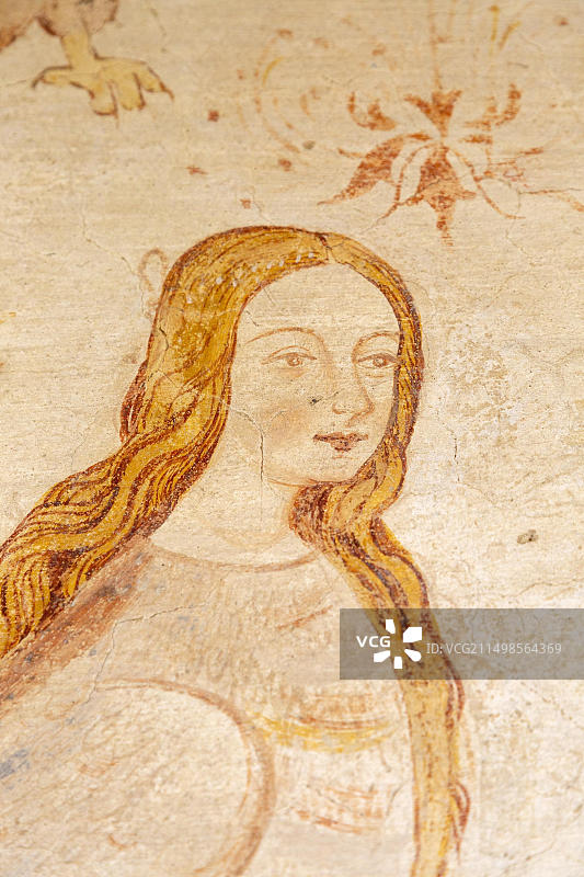 葡萄牙埃武拉彩绘房屋：16世纪奇异生物壁画，包含鸟类、野兔、狐狸、蜥蜴、美人鱼和鹰身女妖图片素材