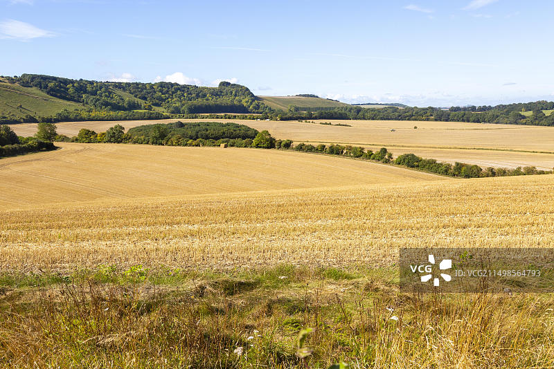 英国伯克郡因克彭山的田野风光图片素材