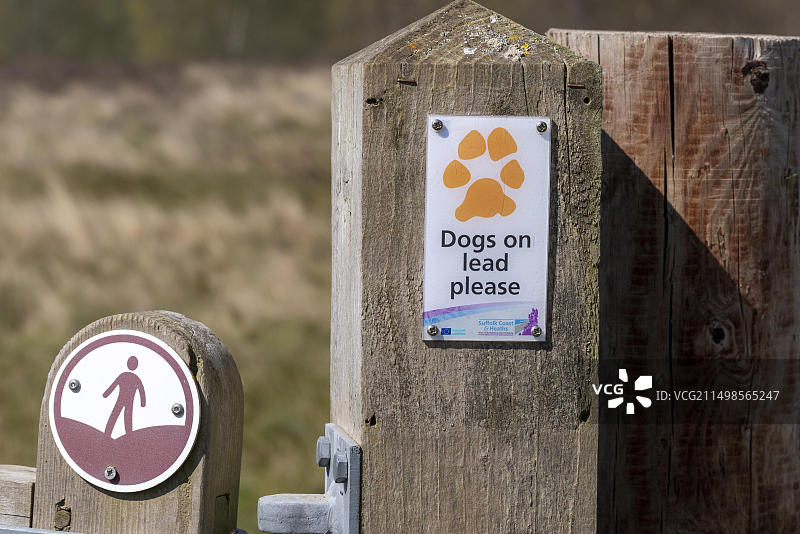 英格兰萨福克郡，拴着牵引绳的狗狗和人行道步行标志图片素材