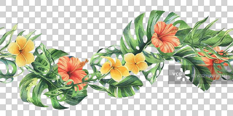 热带棕榈叶和花卉图片素材