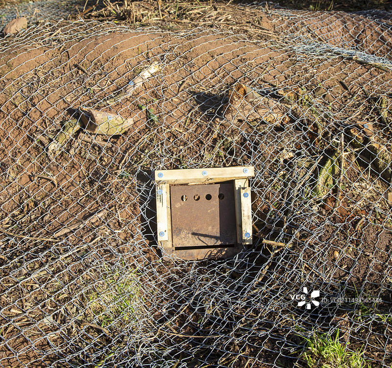 獾的驱逐：在英格兰沃里克郡凯尼尔沃思附近，使用金属围栏和单向出口门清理獾的巢穴，这是HS2项目的一部分，2020年11月图片素材