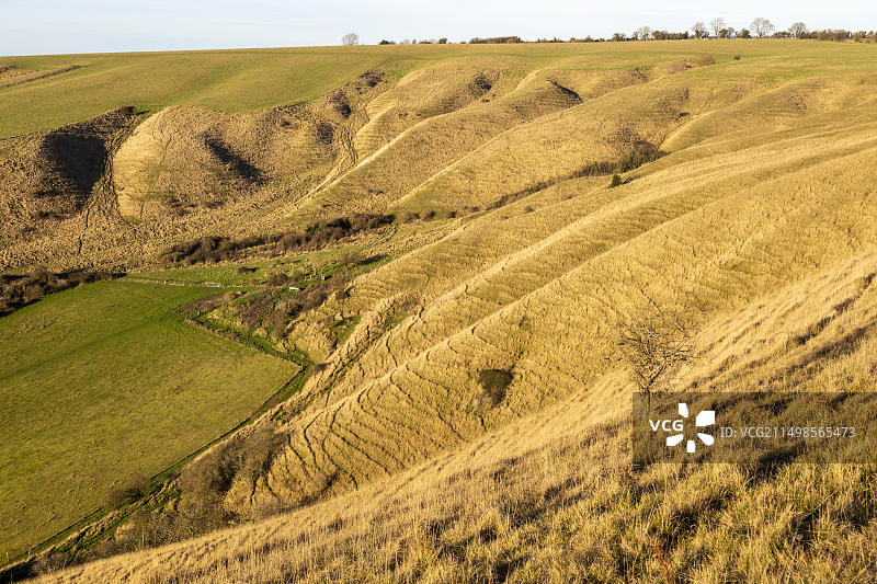 英国威尔特郡朗韦山丘陵和干燥谷地的白垩断层图片素材