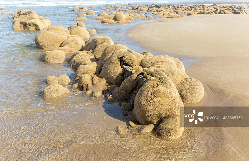 蜂窝虫礁，位于摩洛哥米尔莱夫特海滩图片素材