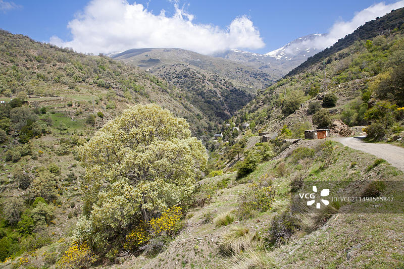 内华达山脉博凯拉河峡谷风光图片素材