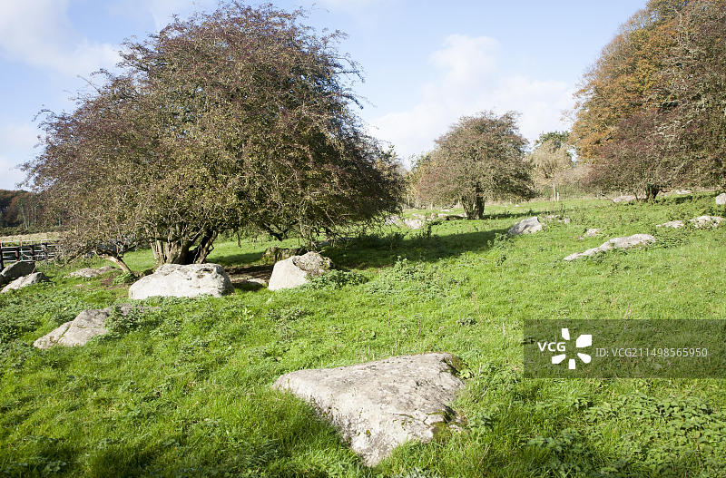 法伊尔德当国家级自然保护区，马尔堡丘陵，威尔特郡，英国，英国最古老的未经改良的白垩草原之一图片素材