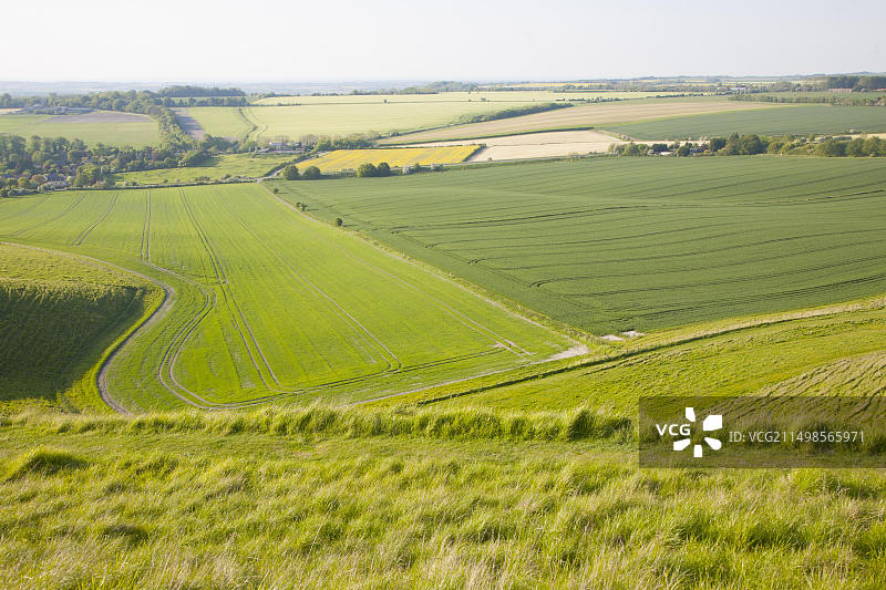 英国威尔特郡切尔希尔丘陵的夏季田园风光图片素材