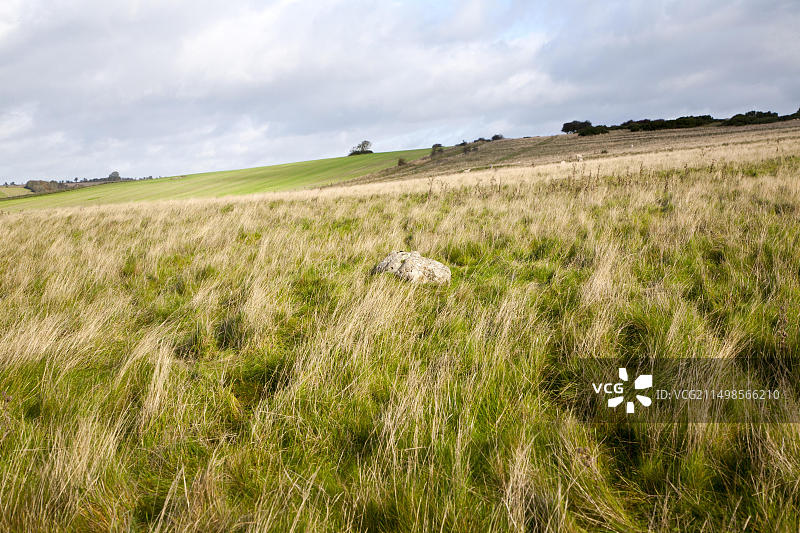 英国威尔特郡马尔堡丘陵，菲尔德当国家级自然保护区，干燥山谷中未经改良的白垩草原和萨森石图片素材