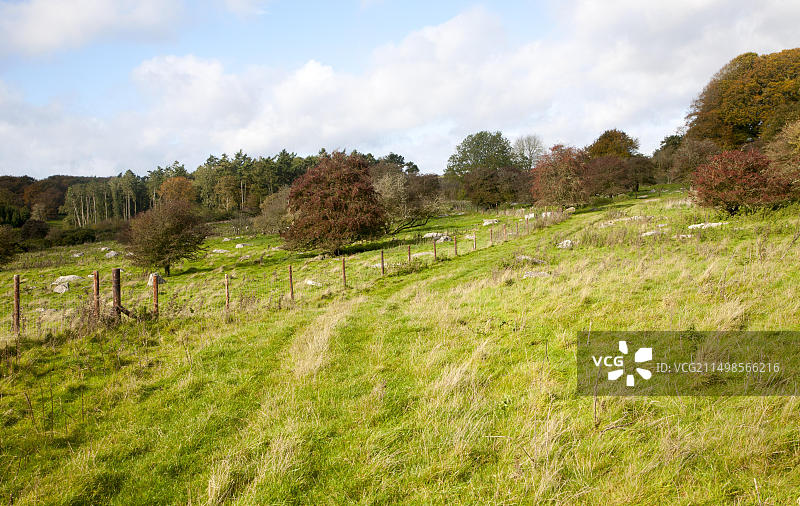 法伊尔德当国家级自然保护区，马尔堡丘陵，威尔特郡，英国，英国最古老的未经改良的白垩草原之一图片素材