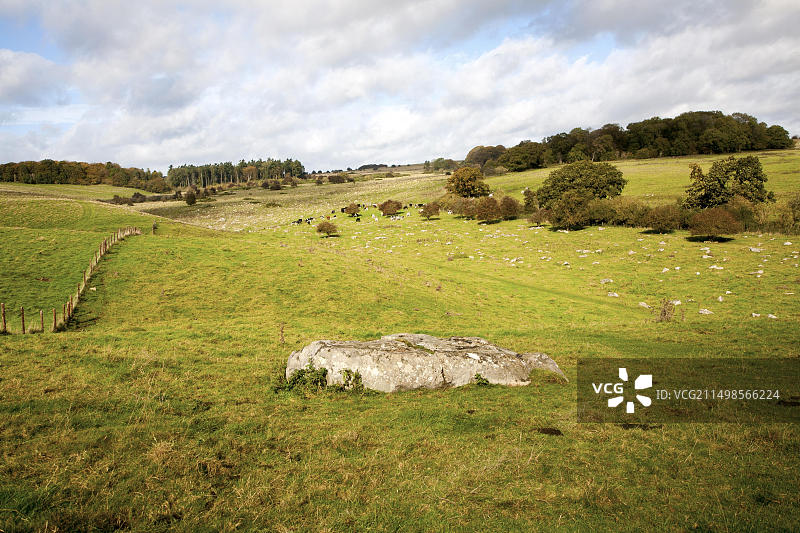 法伊尔德当国家级自然保护区，马尔堡丘陵，威尔特郡，英国，英国最古老的未经改良的白垩草原之一图片素材