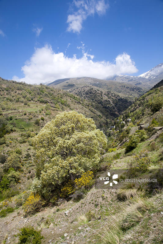 内华达山脉博凯拉河峡谷风光图片素材