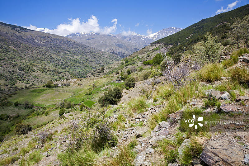 内华达山脉博凯拉河峡谷风光图片素材