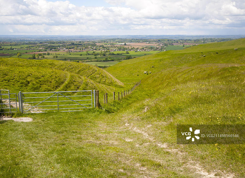 Roundway Hill的白垩断层坡，野生动物的特殊场所，靠近英国威尔特郡迪韦齐斯图片素材