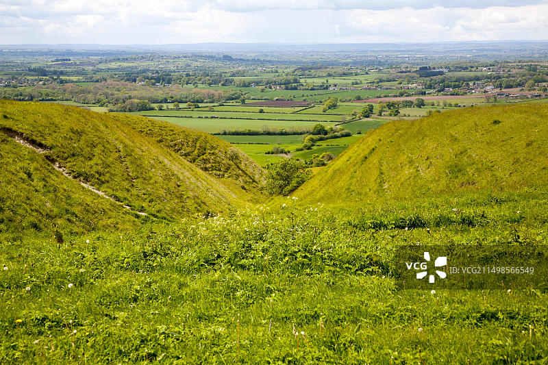 Roundway Hill的白垩断层坡，野生动物的特殊场所，靠近英国威尔特郡迪韦齐斯图片素材