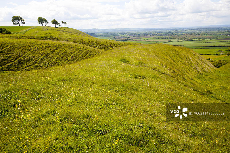 Roundway Hill的白垩断层坡，野生动物的特殊场所，靠近英国威尔特郡迪韦齐斯图片素材