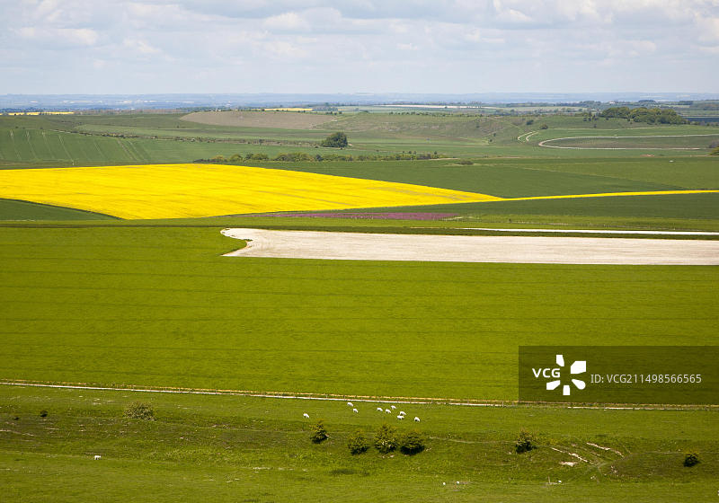 马尔borough丘陵的白垩高地夏季农耕景观，靠近英格兰威尔特郡贝克汉普顿图片素材