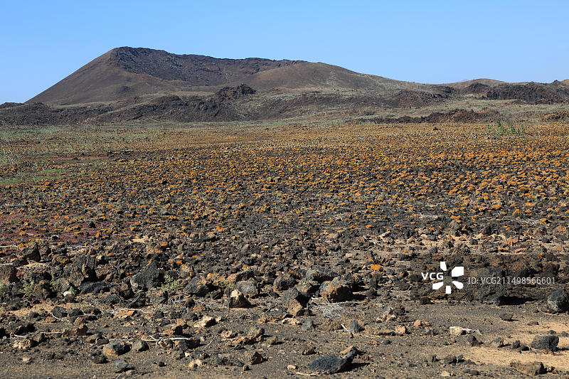 富埃特文图拉岛火山荒地景观图片素材