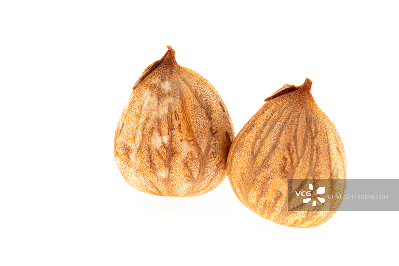 白色背景上的山西大黄杏杏仁图片素材