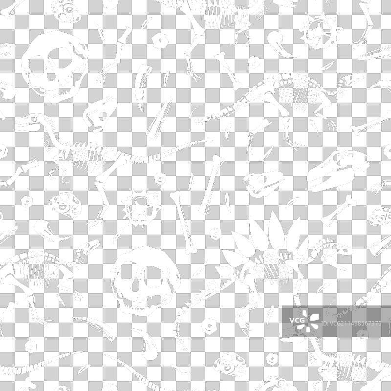 恐龙骨骼和化石无缝图案图片素材