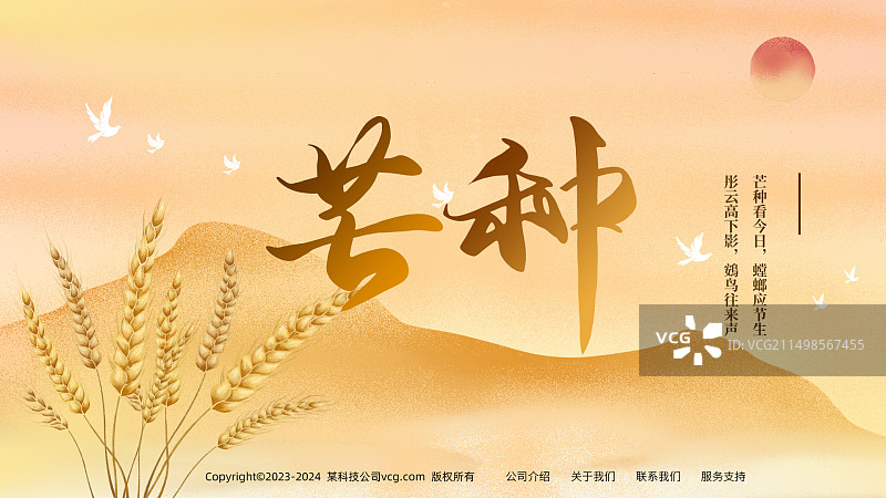 简约金色芒种麦穗海报图片素材